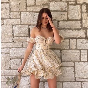 Adeirlina The Lattest of Them All dress!